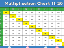 multiplication chart 11-20